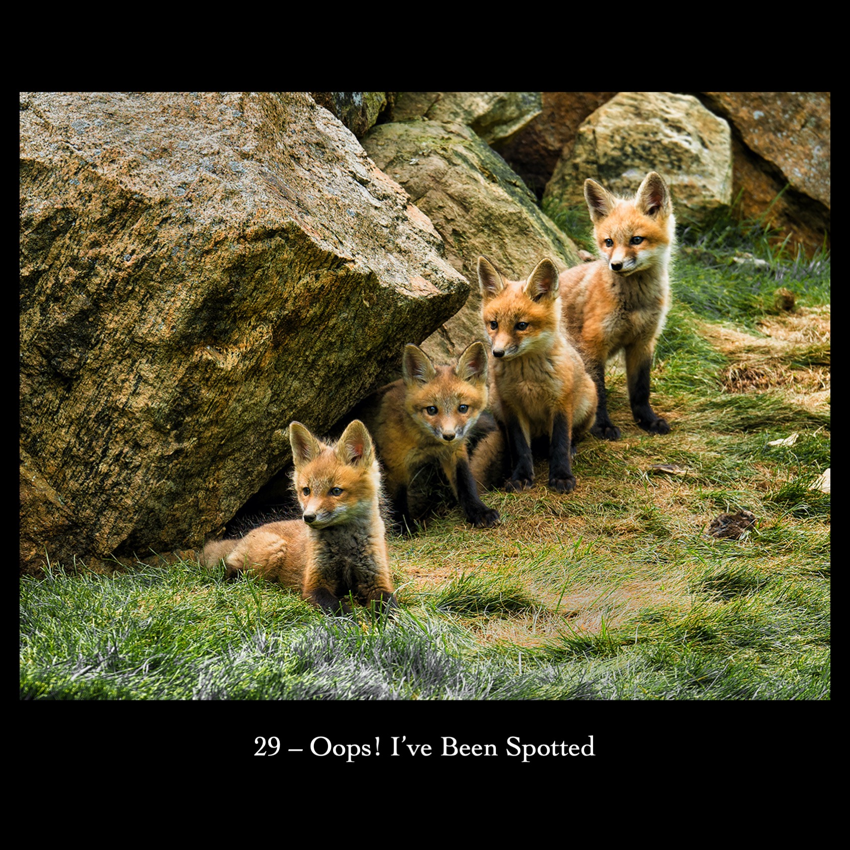 29   Oops! I've Been Spotted